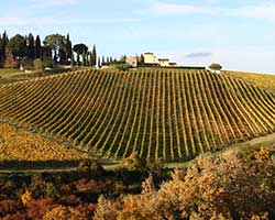 Winery propriété dans le vignoble en miniature Italie